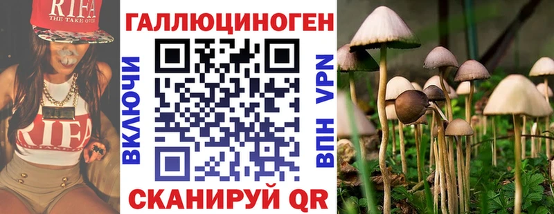 KRAKEN зеркало  Сертолово  Галлюциногенные грибы Cubensis 