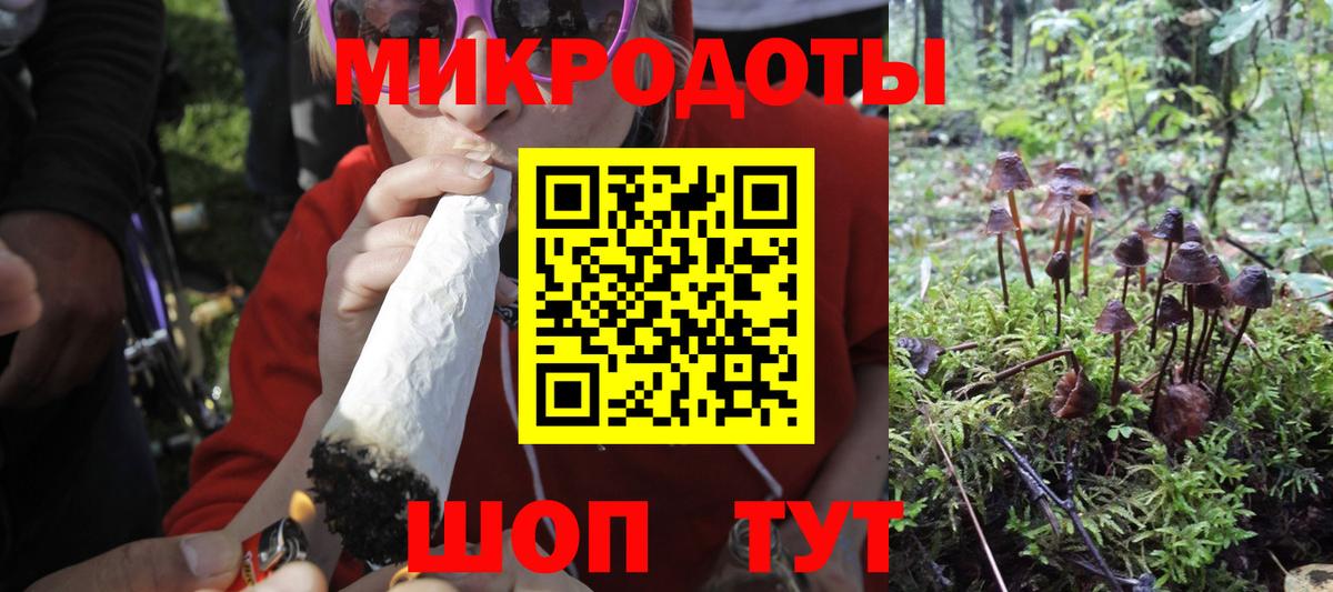 Псилоцибиновые грибы GOLDEN TEACHER  купить  сайты  Сертолово  Вход с VPN 
